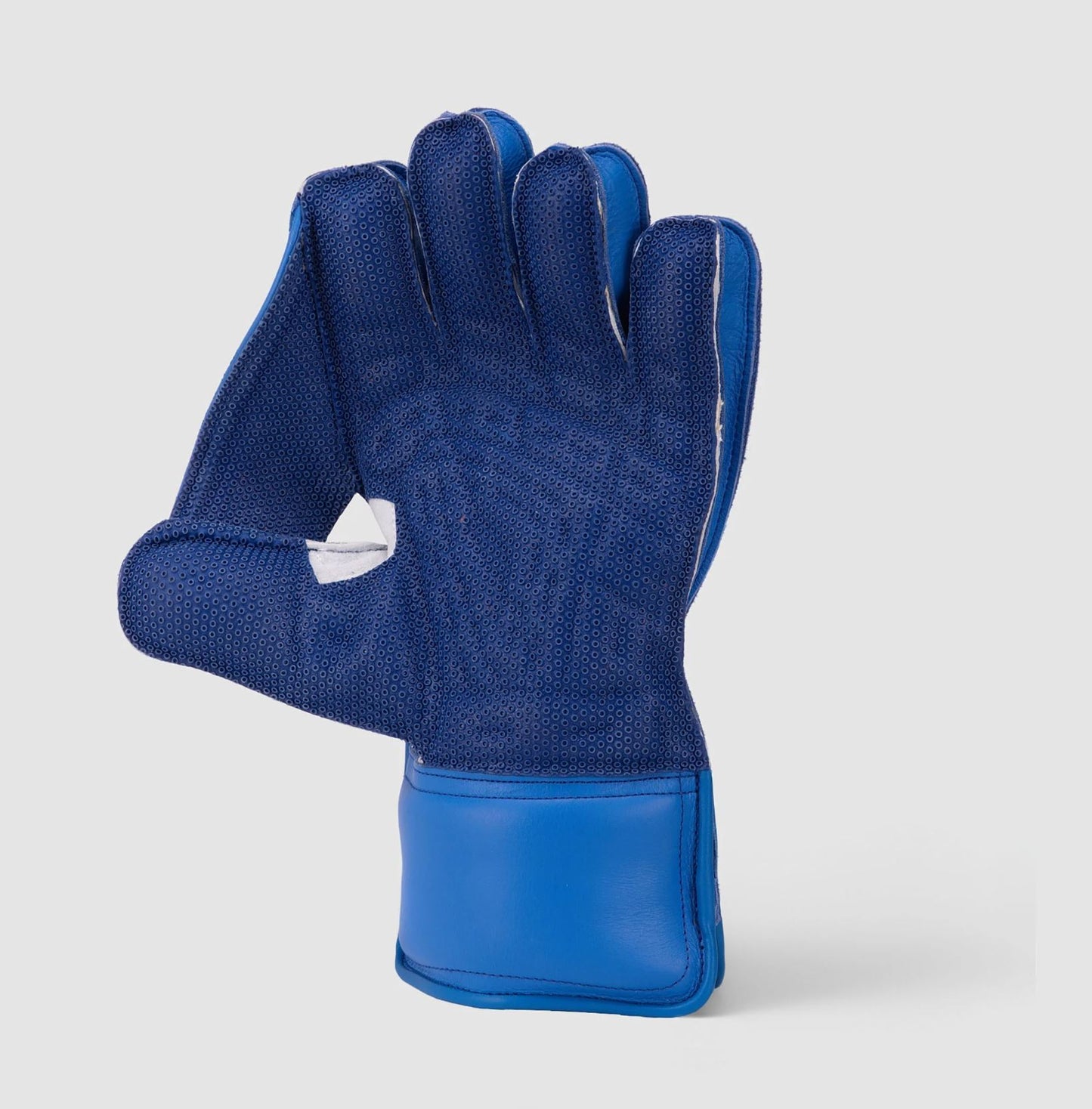KLR 1 Wicket Keeping Gloves